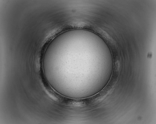 X0000101150638200807111006