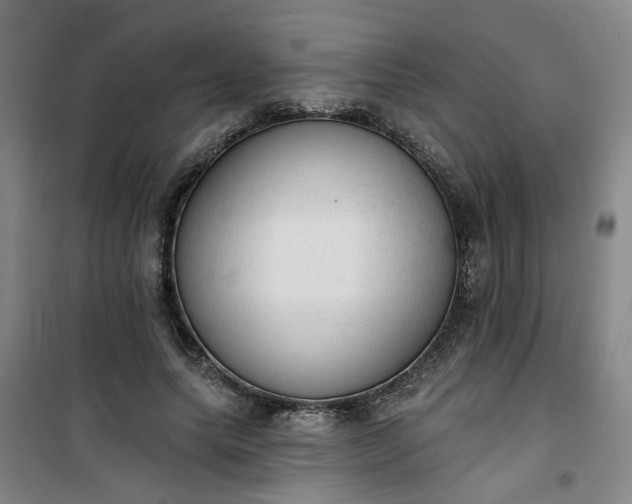 X0000101150639200807111006