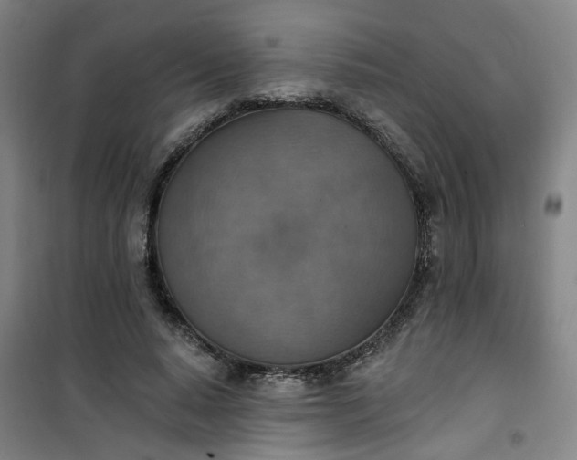 X0000101150640200807111006