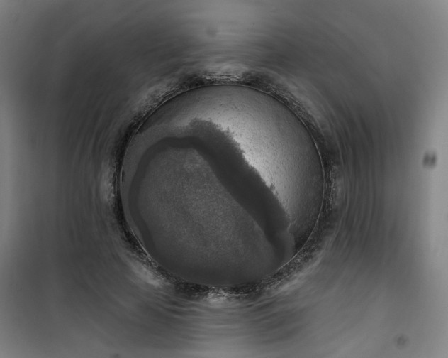 X0000101150641200807111006