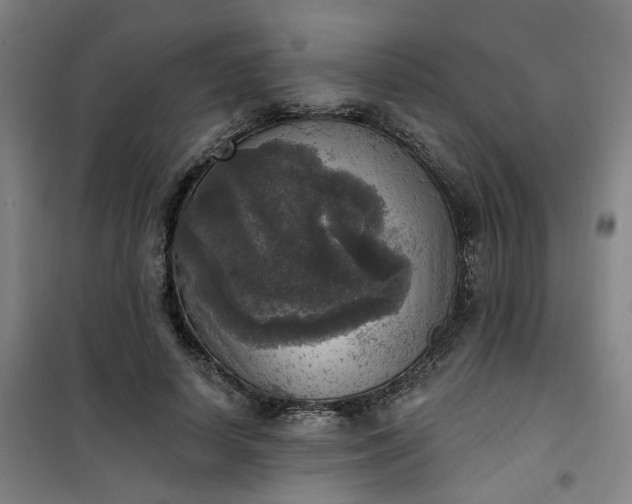 X0000101150642200807111006