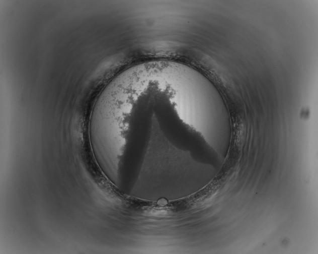 X0000101150643200807111006