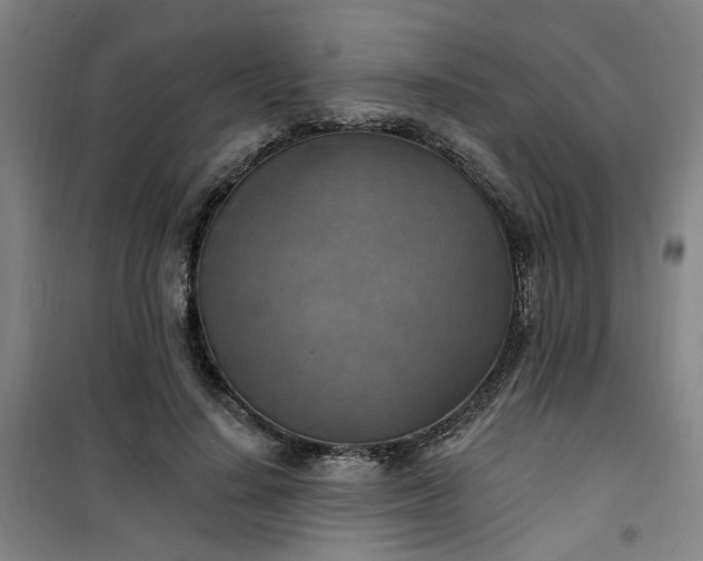 X0000101150644200807111006