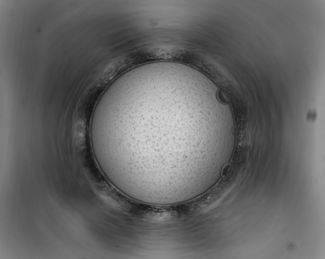 X0000101150646200807111006