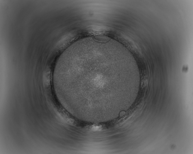 X0000101150647200807111006