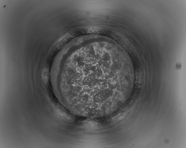 X0000101150648200807111006