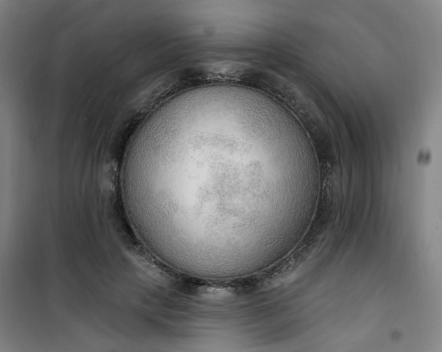 X0000101150649200807111006