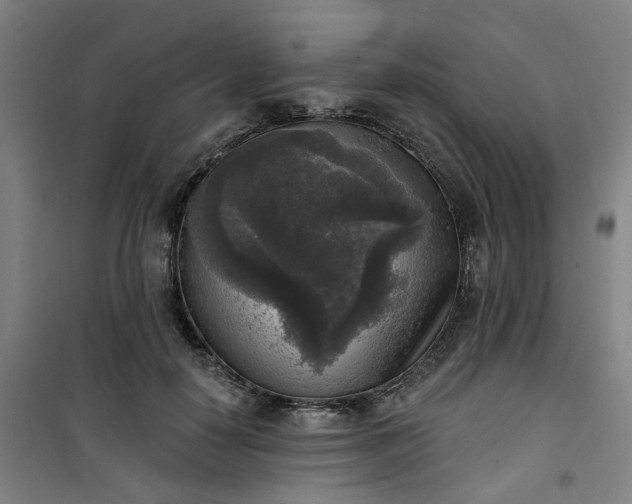 X0000101150650200807111006