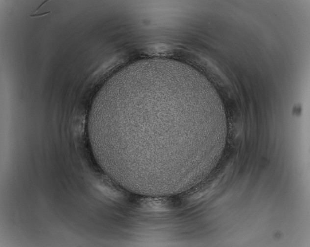 X0000101150652200807111006