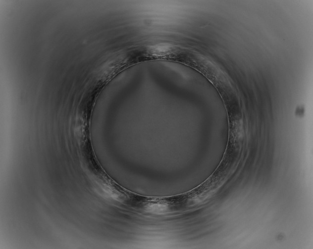 X0000101150653200807111006