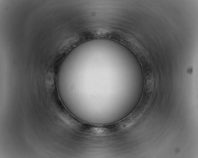 X0000101150654200807111006