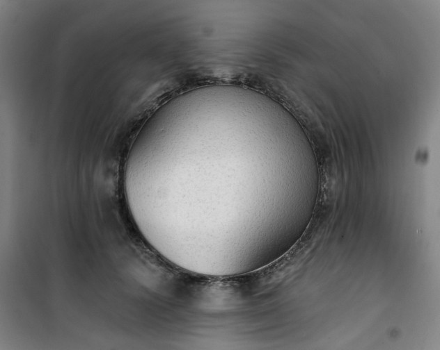 X0000101150656200807111006