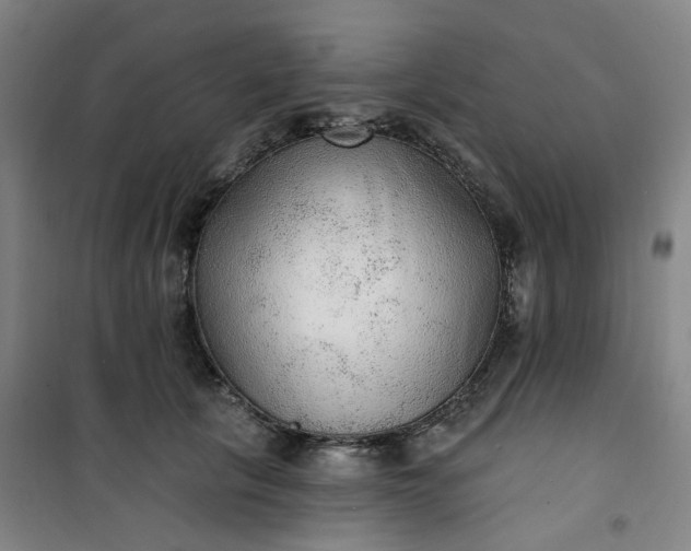 X0000101150657200807111007