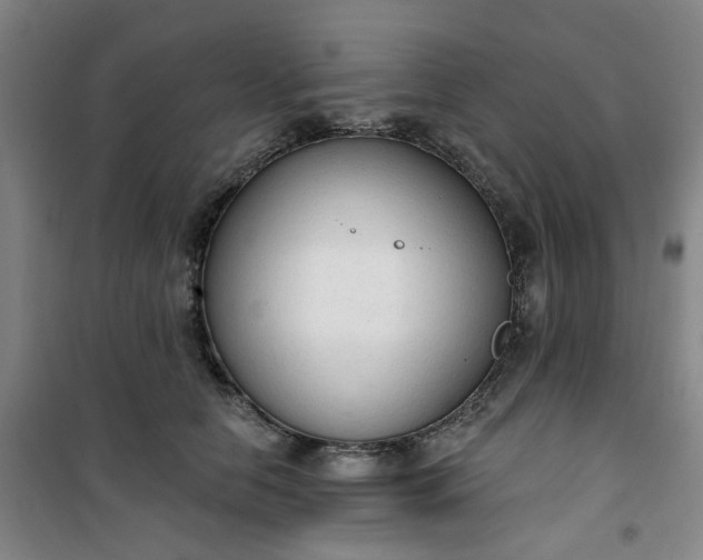 X0000101150658200807111007