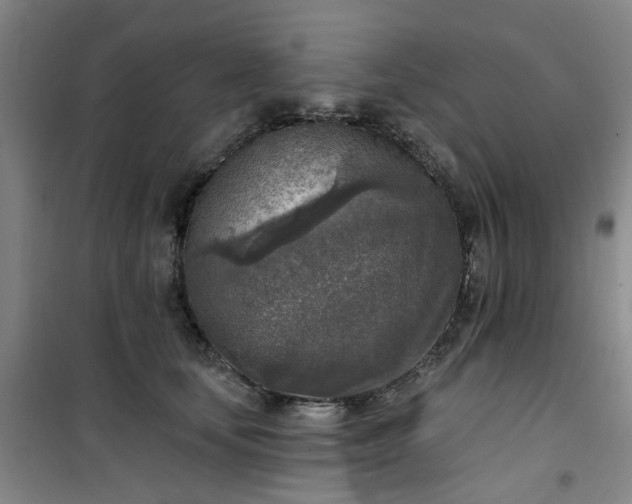 X0000101150659200807111007