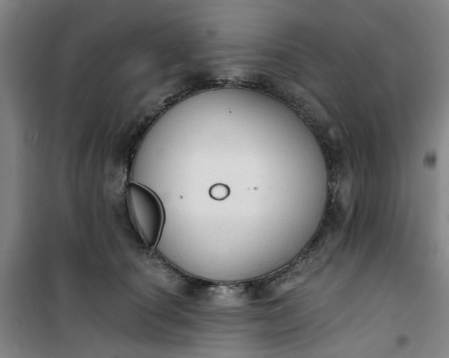 X0000101150660200807111007