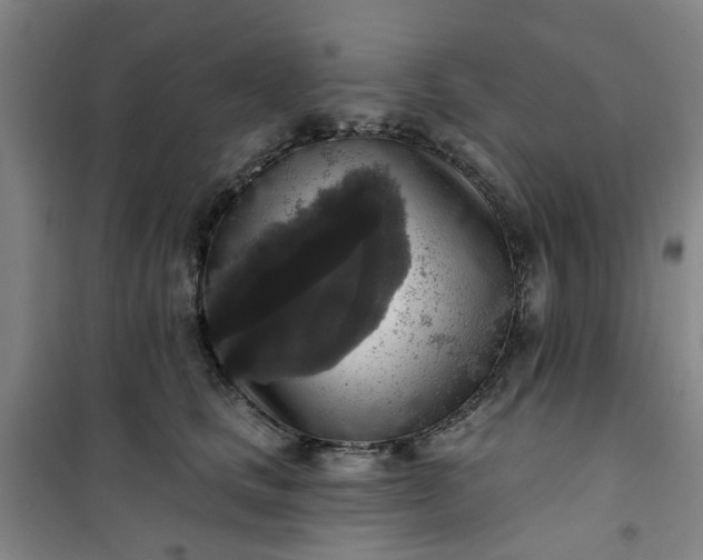 X0000101150661200807111007