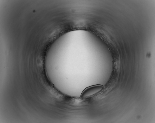 X0000101150662200807111007