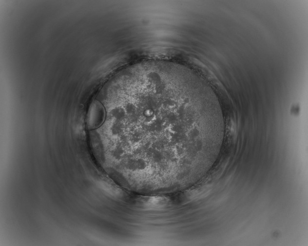 X0000101150663200807111007