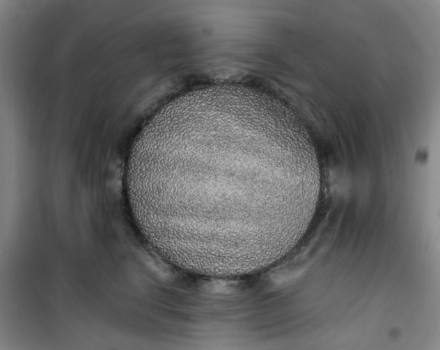 X0000101150664200807111007