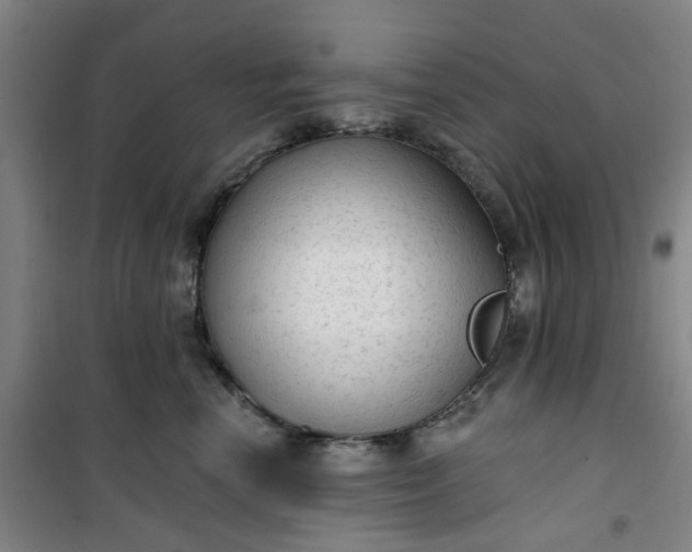 X0000101150666200807111007