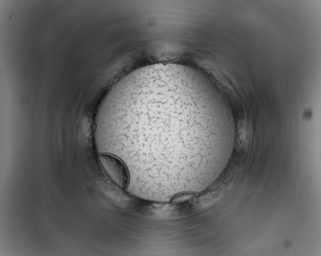 X0000101150667200807111007