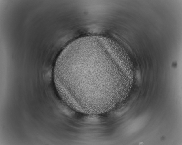 X0000101150668200807111007