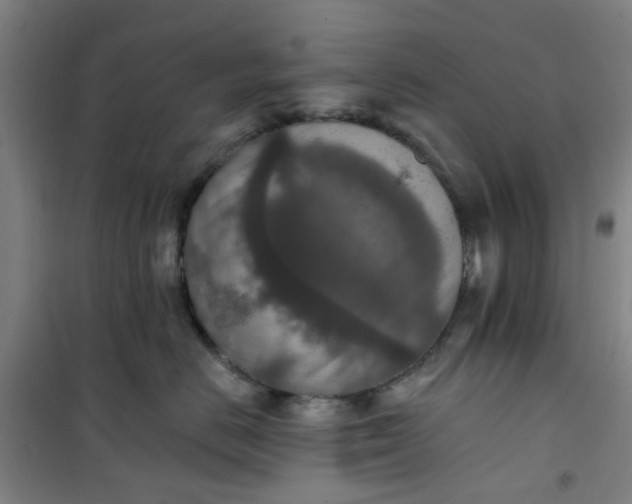 X0000101150670200807111007