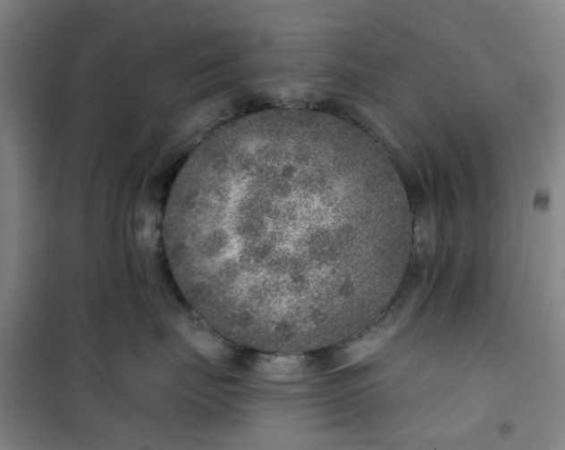 X0000101150671200807111007