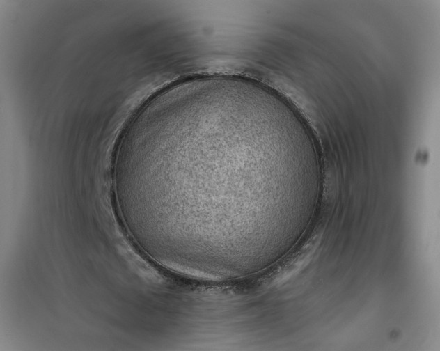 X0000101150673200807111006