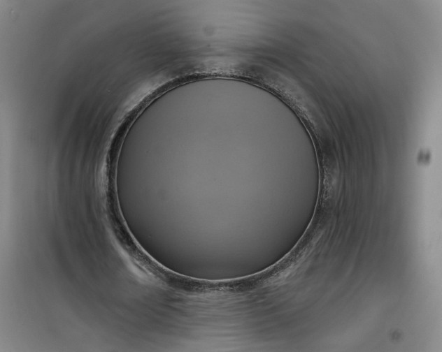 X0000101150674200807111006