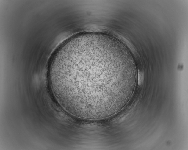 X0000101150675200807111006