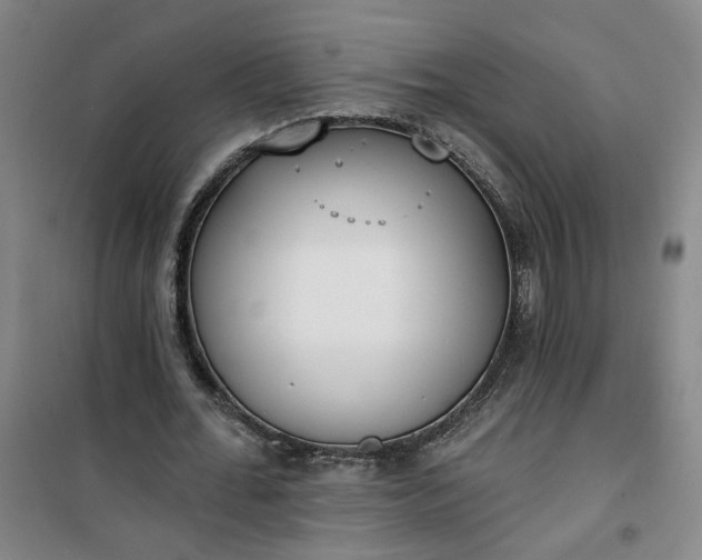 X0000101150676200807111006