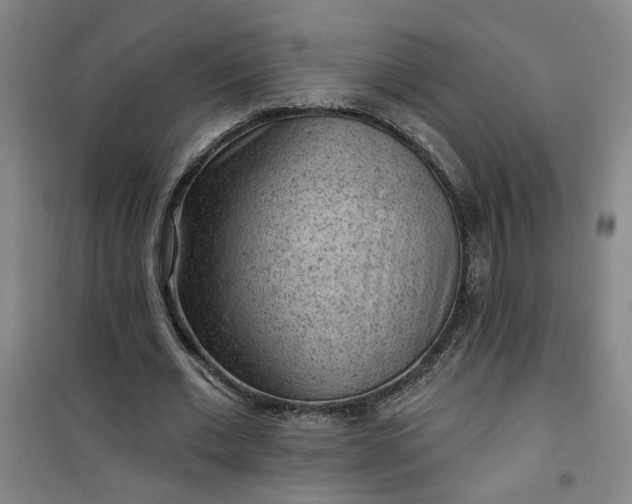 X0000101150677200807111006