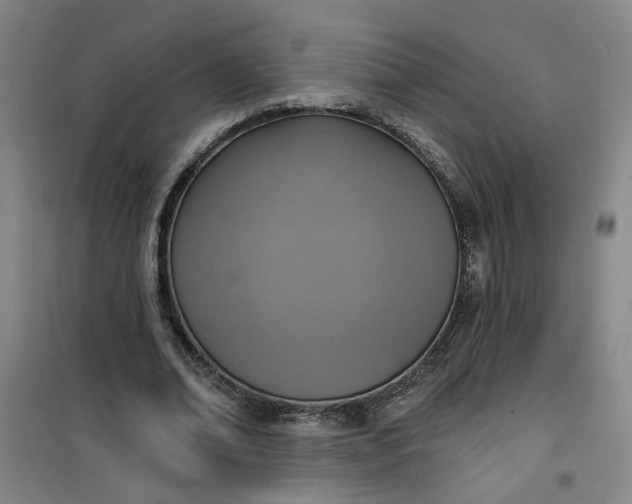 X0000101150678200807111006