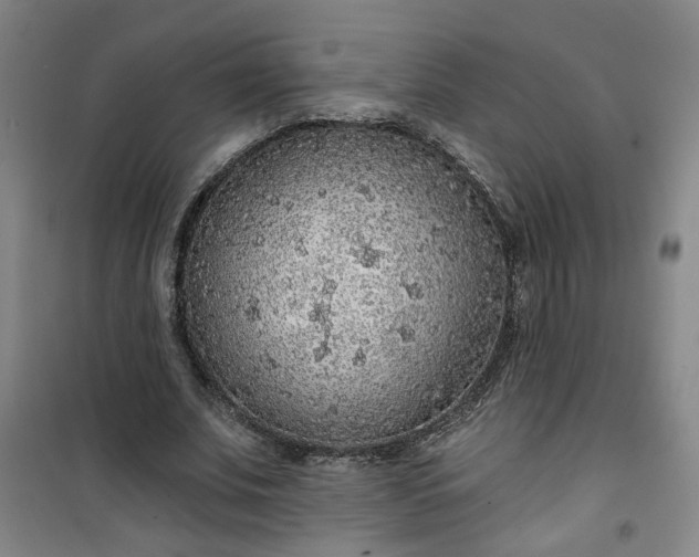 X0000101150679200807111006