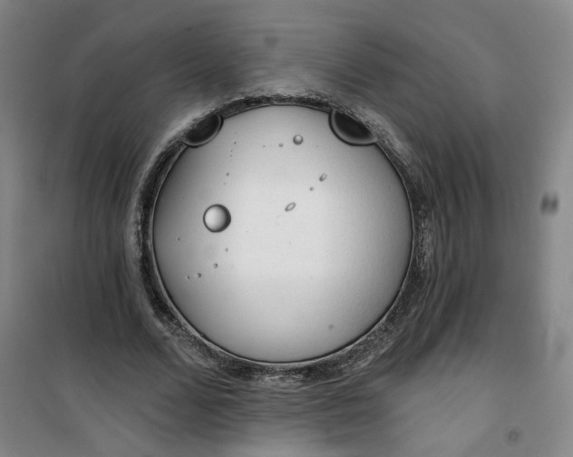 X0000101150680200807111006