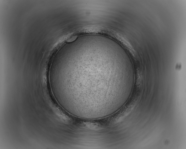 X0000101150681200807111006