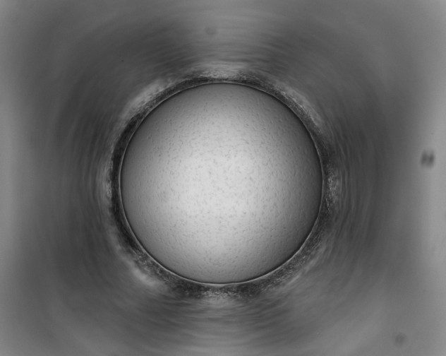 X0000101150682200807111006