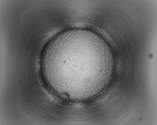 X0000101150683200807111006