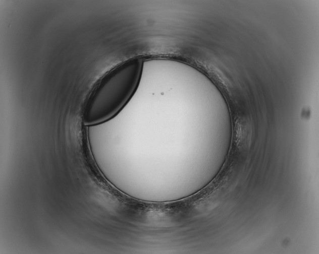 X0000101150684200807111006