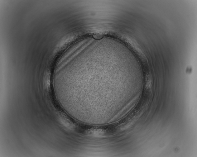 X0000101150685200807111006