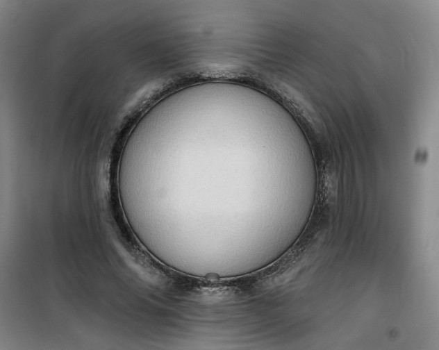 X0000101150686200807111006