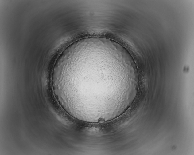 X0000101150687200807111006