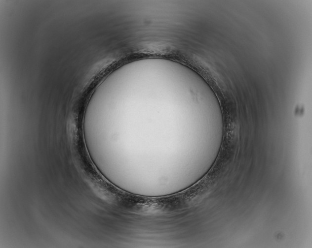 X0000101150688200807111006