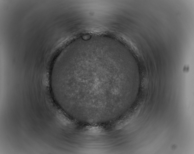 X0000101150689200807111006