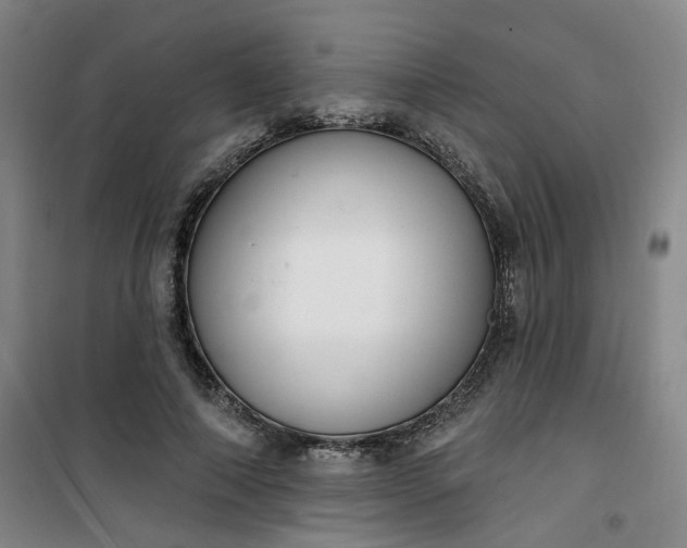 X0000101150690200807111006