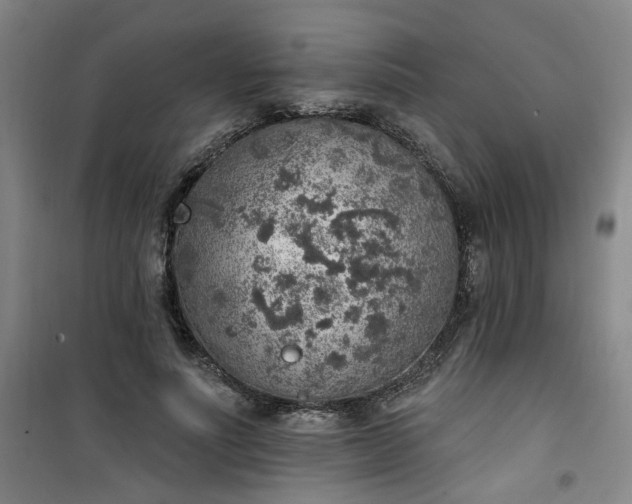 X0000101150691200807111006