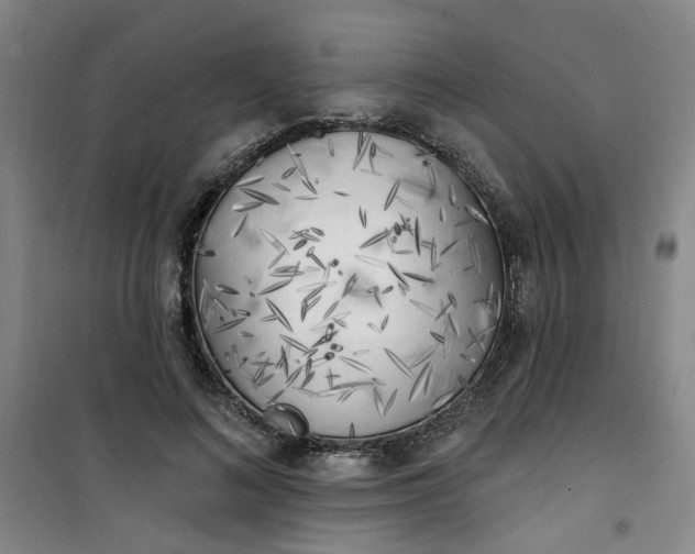 X0000101150692200807111006