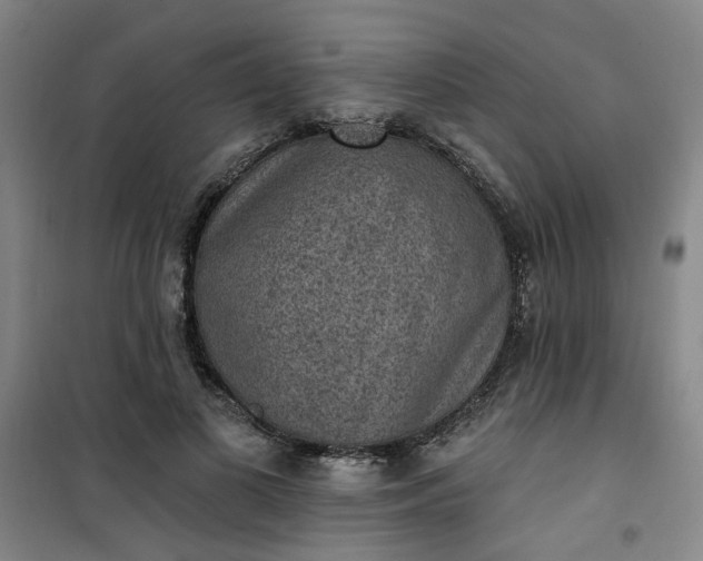 X0000101150693200807111006